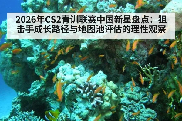 2026年CS2青训联赛中国新星盘点：狙击手成长路径与地图池评估的理性观察（nine game）
